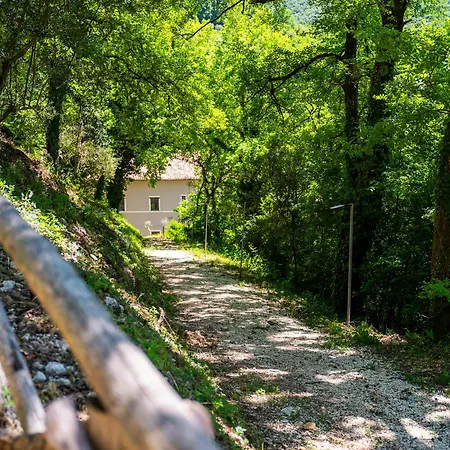 Palazzo Del Papa Agriturismo Strettura