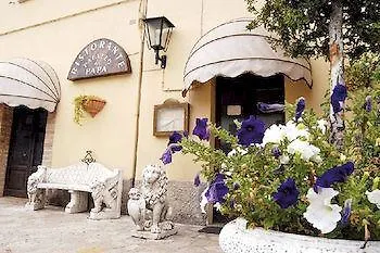 Palazzo Del Papa *